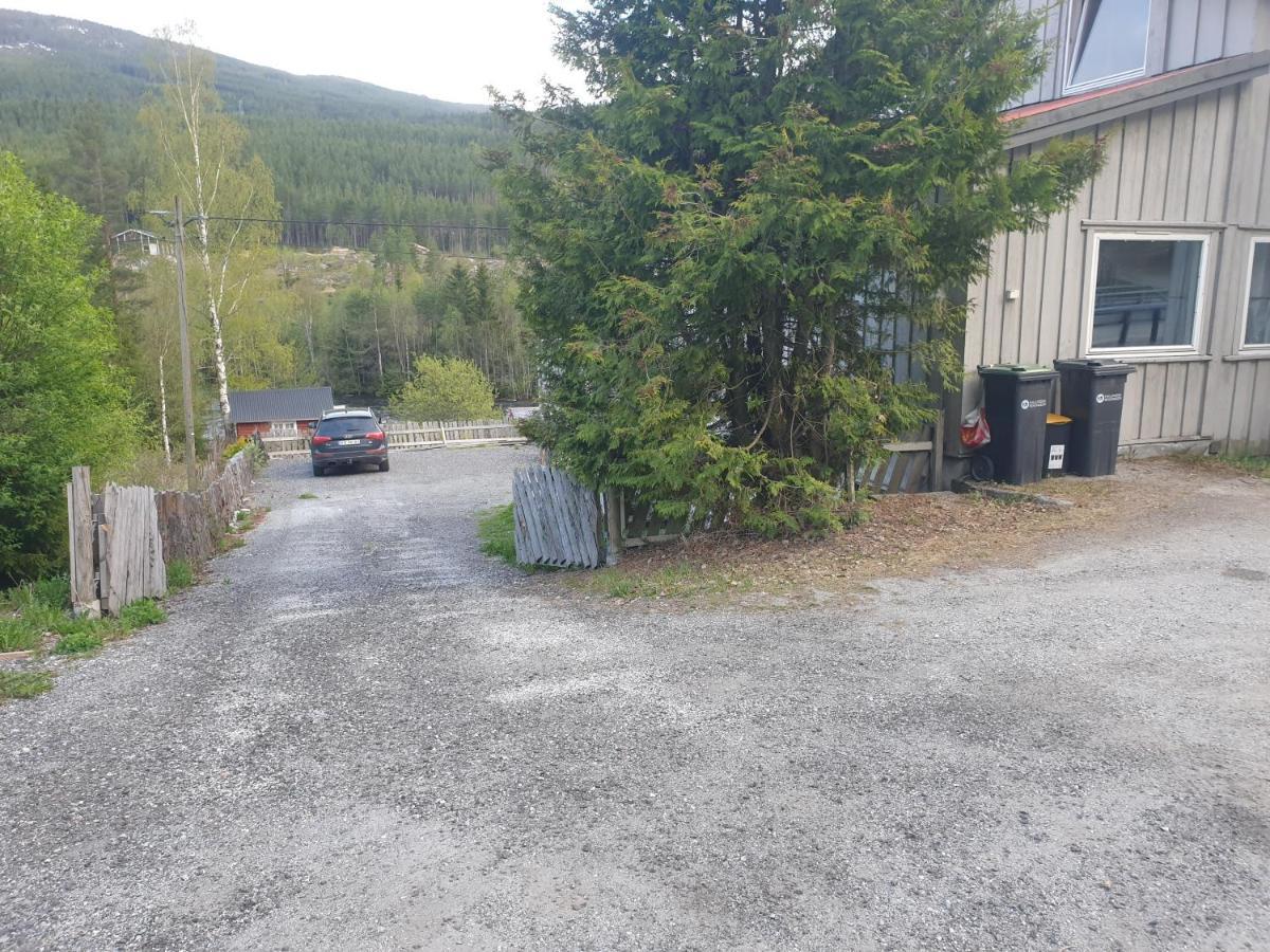 Ferienwohnung Raustua Gol Exterior foto